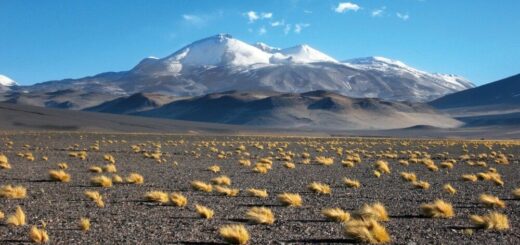 Die Weite der Landschaft zu Füßen des Ojos del Salado ist überwältigend. Reise Die Weite der Landschaft zu Füßen des Ojos del Salado ist überwältigend. 2022/2023