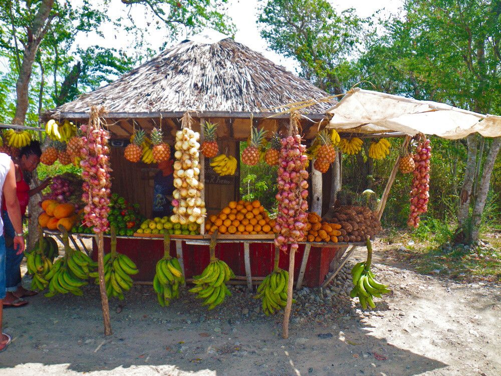 Kubanische Früchte