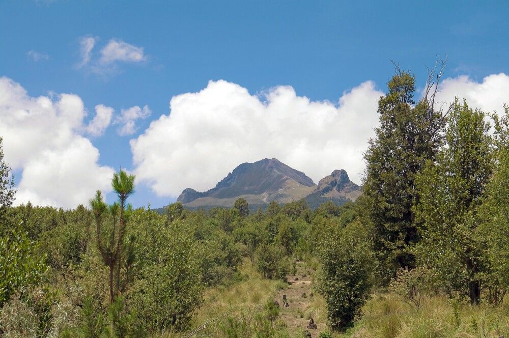 Wanderung La Malinche