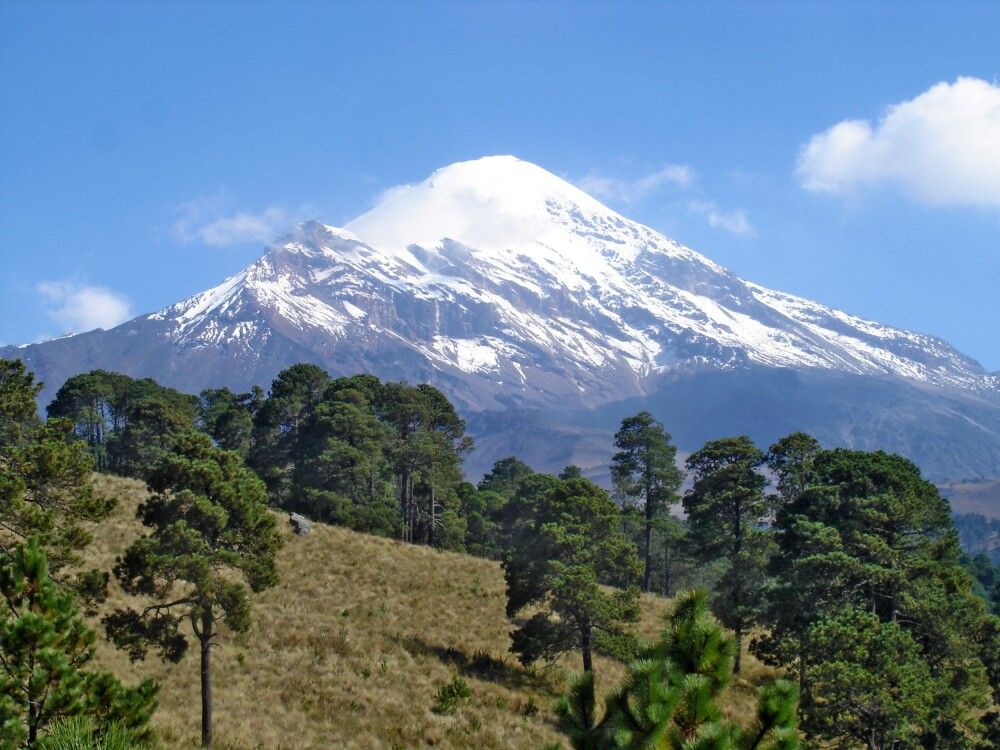 Zu Füßen des Pico de Orizaba gibt es prächtige Kiefernwälder.