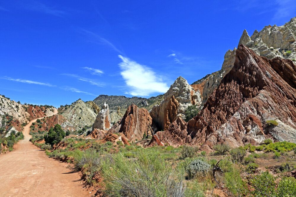 Cottonwood Backcountry Road, Utah