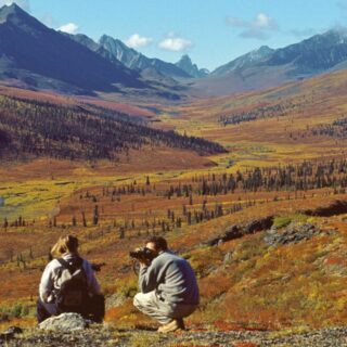Yukon in Herbstfarben Reise Yukon in Herbstfarben 2022/2023