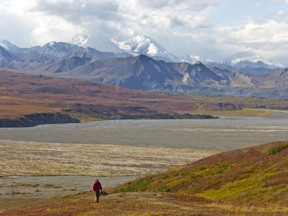 Blick vom Eielson Visitor Center Richtung Mount Denali